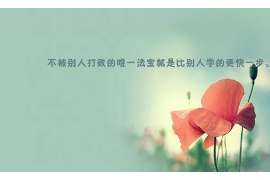 清城侦探事务所